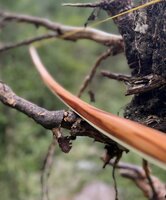 IMG_1708.jpeg