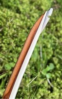 IMG_1705.jpeg