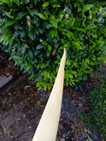 20240923_155311_copy_1500x2000.jpg