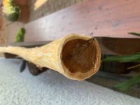 IMG_6990.jpeg
