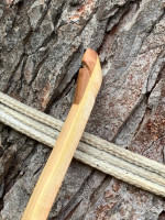 IMG_7488.jpeg