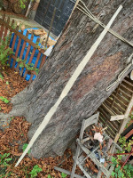 IMG_7497.jpeg