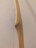 PXL_20241222_091155449.jpg