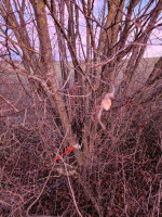 20250101_162542_VgmnI0jU71.jpeg (1.48 MiB) 40382 mal betrachtet Schnittstelle