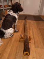 Rohling im ganzen. So 180cm lang