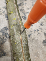 20250102_085145_ZBpTOBQs78.jpeg (455.66 KiB) 40249 mal betrachtet Auf einer Seite nicht zusammengetroffen. Stechbeitel hats behoben.