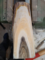 Rohling auf 170cm gekürzt und den Abschnitt mal angeschnitten