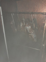 Und noch mehr andere Projekte