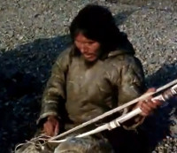 Das Vorbild für den Holunderbogen