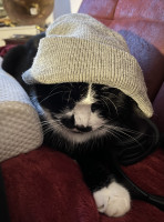 IMG_3084.jpeg