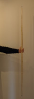 PXL_20250130_120152632~2.jpg