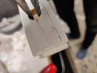 IMG_20250204_160514_0l8S0qX29B.jpeg