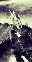 IMG_3348.jpeg