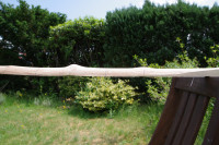 Imgp5253.jpg