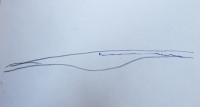 20250619_071259.jpg