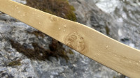 IMG_4534.jpeg