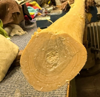 gammel.jpg (218.58 KiB) 26606 mal betrachtet die Gammelstelle unter Holzleim (das dunkle rund um den Markkanal)