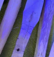 aber die Stelle des Risses geht in Ordnung