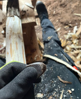 Für frischen Bast nehm ich immer so n Hornplektrum. Einfach schräg ne Scheibe aus nem Endstück rausschneiden