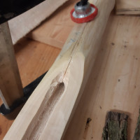 Griff großer Holler