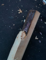 Da hatte die Rose nen Rindenschaden... wär das ein cooler Tip. Aber muss wahrscheinlich noch gekürzt werden...