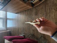 Außrichtung angepasst, Geweihspitzen schief.