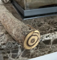 Hab ich vorm  Einheizen gerettet, ein Goldregen Holzscheit, daraus mach ich die Nocken für den Schlangenbogen