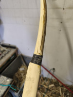 hier sieht man das astloch