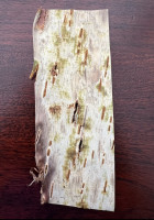 Innenseite: grüner Bast, weiße cremige Schicht, dann kastanienbraune Lederschicht