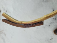 20260213_142901 (Copy).jpg