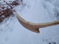 20260214_172432 (Copy).jpg