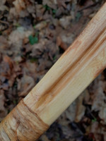 Der verfüllte Markkanal im Griff