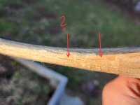 20260226_161409.jpeg (220.76 KiB) 1107 mal betrachtet Bei dem mit dem Fragezeichen bin ich nicht sicher ob nur der Sehnenbelag nen Riss hat.