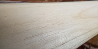 Bauchoberfläche01.jpg