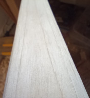 Bauchoberfläche03.jpg