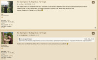 Allen hat die Optik gefallen, mir auch und ich werde einen Osage Stabbogen mit Gehörnnocken bauen und ich werde ihn am Parkour an einen Baum lehnen, zurück gehen und mir denken: was für ein geiler Bogen, heimlich natürlich, weil, was sollen die denken, wenn er umfällt und ein Teil vom Gehörn abbricht……und es ist keine Biene darauf…..