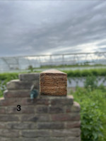 IMG_3403.jpeg