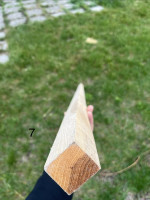IMG_3409.jpeg