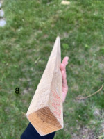 IMG_3410.jpeg