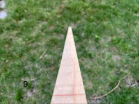 IMG_3411.jpeg