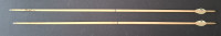 meine besten Pfeile mit 24,9" und 25,3"