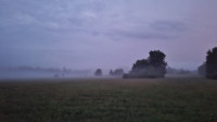 abendlicher Nebel