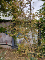 IMG-20260818-WA0002.jpg