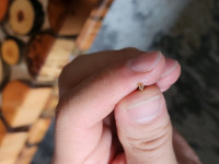 20260909_155128.jpg