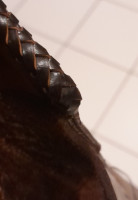 20260924_094021.jpg