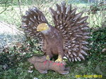 Adler 1.JPG