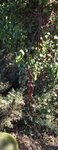 DSCF0407.JPG