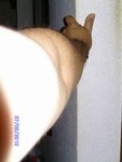 BILD3170.JPG