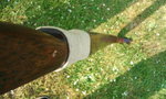 Foto0087.jpg