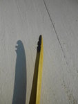 Osageburgunder neu 031.jpg